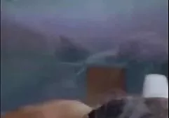 凯尔西乱搞各种姿势的黑人