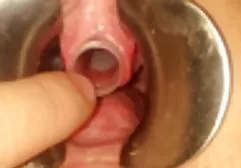 与女友的会面结束了同性恋性行为