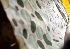 那家伙用黑色长袜脱下她纤细的长筒袜，亲吻她的脚