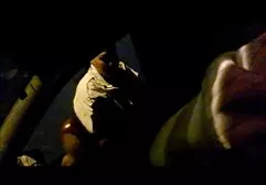 微小的小山雀津津有味的屁股