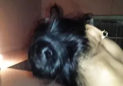 爸爸舔阴部年轻的女儿和性交剃光猫
