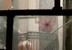 在她面前抽出男子气概的妻子的朋友
