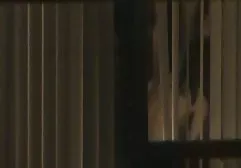 小鸡与自然山雀抚摸自己的聊天火箭