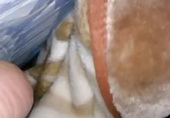 脂肪小鸡在你的嘴里为大多数鸡蛋