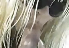 德国口交让公共汽车上的人很开心