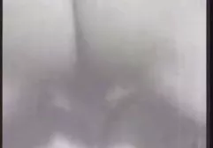 晚餐后种马撕裂女孩癌症