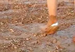 粗糙的种马僵硬的尖顶绑小鸡