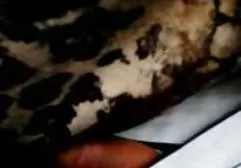 两个堕落的黑发他妈的和一个男人在一个房间里