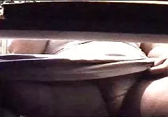白人嘲笑地指的是黑白混血儿