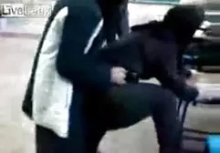 头舔他的秘书兴奋的猫