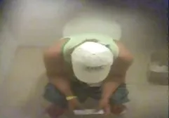 红狐狸在聊天中显示山雀