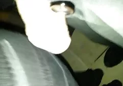小母牛请在乡间别墅经验丰富的猎人