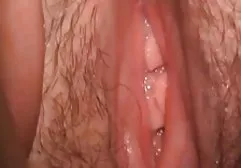 性俄罗斯学生在森林里的性质