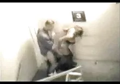 老英国人通过连裤袜爱抚猫