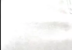 为了荣耀，已婚夫妇记录了他们的热性