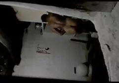 ZhMZH与shmandovkami和热种马