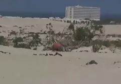 积极响亮的性行为与长腿恍惚