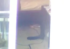 18岁的宝贝做了口交，并给了屁股